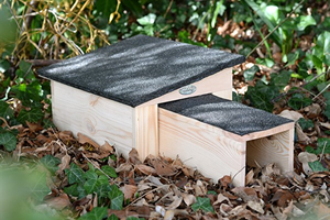 A small light wooden box with a slanted grey, felt roof and a smaller protruding sheltered entrance corridor. The box is placed on the ground, surrounded by brown, dried leaves and wild greenery.