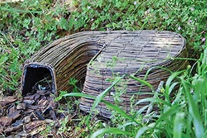 Woven natural fibre hedgehog hideout, partly hidden within long grass and other vegetation.